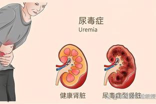 新利体育平台首页网址是多少截图2